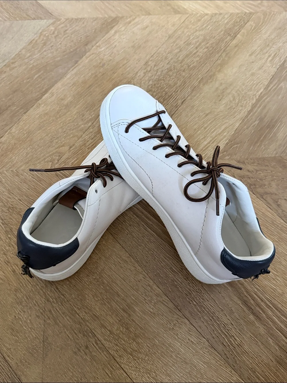 Coach low top sneakers